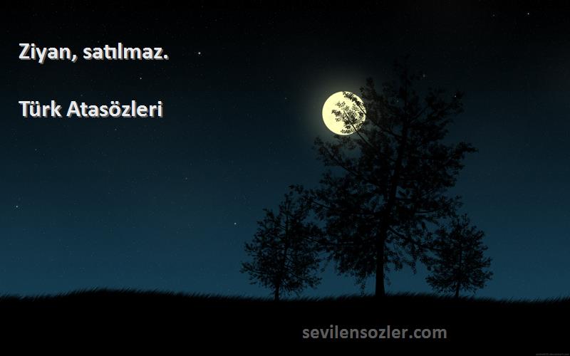 Türk Atasözleri - Ziyan, satılmaz.