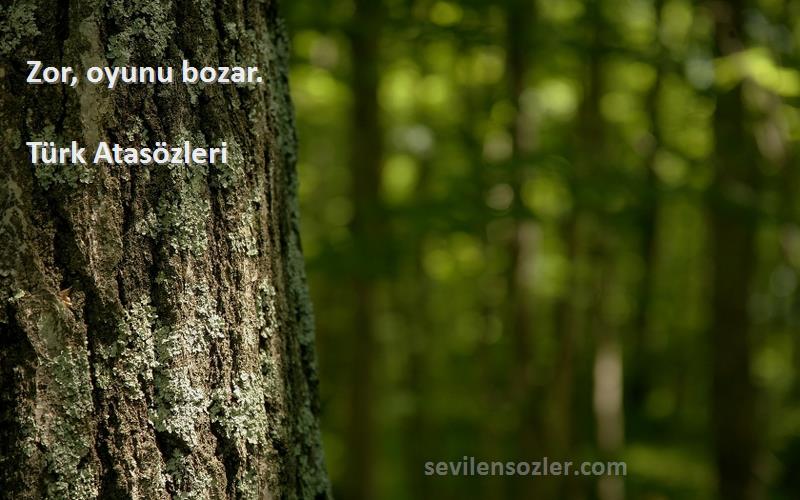 Türk Atasözleri - Zor, oyunu bozar.