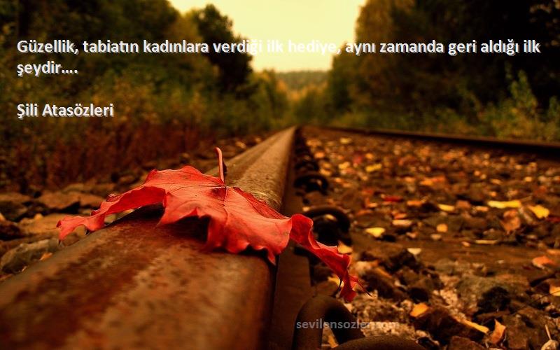 Şili Atasözleri - Güzellik, tabiatın kadınlara verdiği ilk hediye, aynı zamanda geri aldığı ilk şeydir….