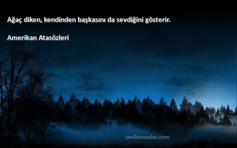 Amerikan Atasözleri Sözleri 
Ağaç diken, kendinden başkasını da sevdiğini gösterir.