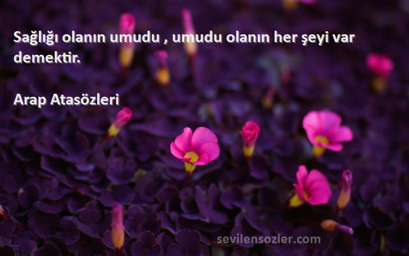 Arap Atasözleri Sözleri 
Sağlığı olanın umudu , umudu olanın her şeyi var demektir.