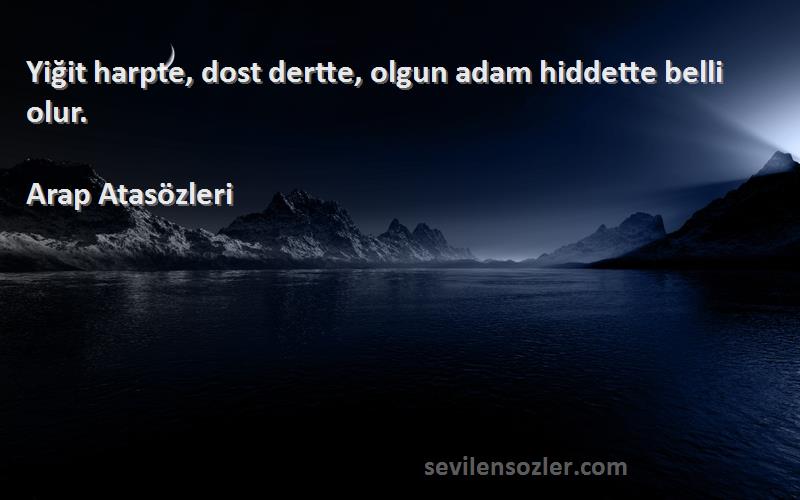 Arap Atasözleri Sözleri 
Yiğit harpte, dost dertte, olgun adam hiddette belli olur.