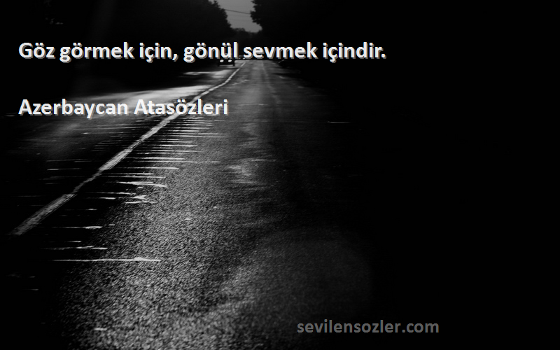 Azerbaycan Atasözleri - Göz görmek için, gönül sevmek içindir.