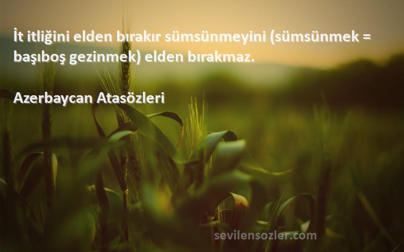 Azerbaycan Atasözleri - İt itliğini elden bırakır sümsünmeyini (sümsünmek = başıboş gezinmek) elden bırakmaz.