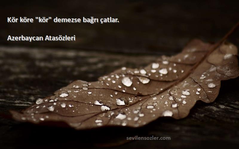 Azerbaycan Atasözleri - Kör köre kör demezse bağrı çatlar.