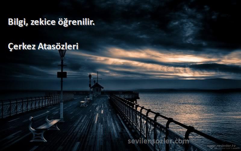 Çerkez Atasözleri - Bilgi, zekice öğrenilir.