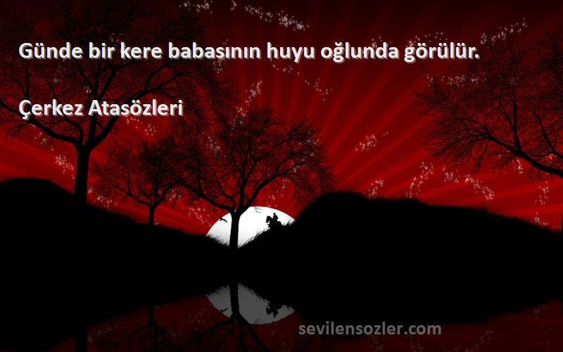 Çerkez Atasözleri - Günde bir kere babasının huyu oğlunda görülür.