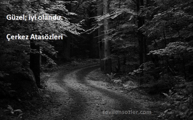 Çerkez Atasözleri - Güzel; iyi olandır.