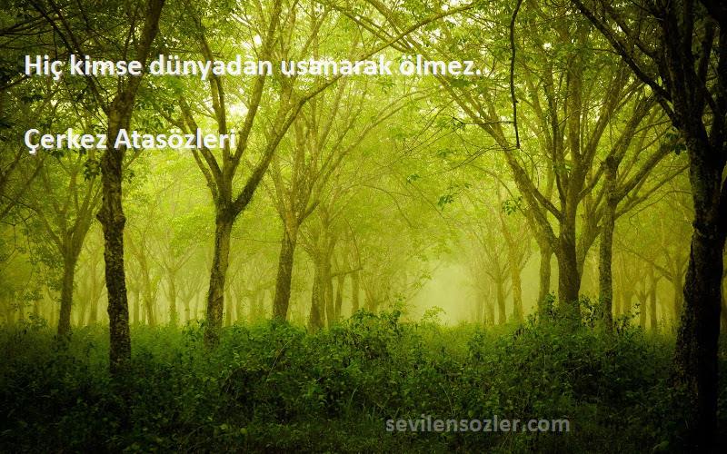 Çerkez Atasözleri - Hiç kimse dünyadan usanarak ölmez.