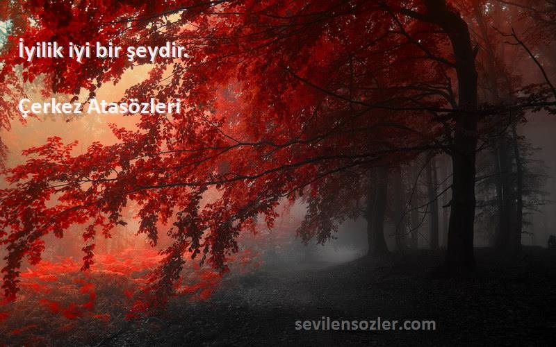 Çerkez Atasözleri - İyilik iyi bir şeydir.