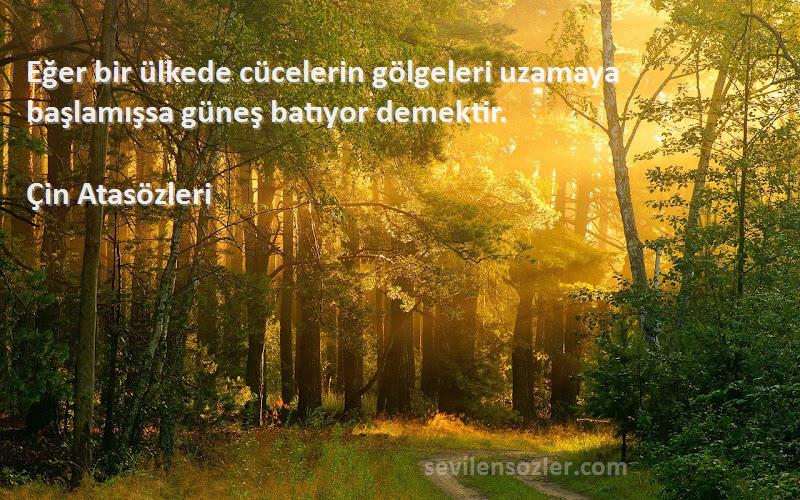 Çin Atasözleri - Eğer bir ülkede cücelerin gölgeleri uzamaya başlamışsa güneş batıyor demektir.