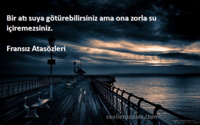 Fransız Atasözleri Sözleri 
Bir atı suya götürebilirsiniz ama ona zorla su içiremezsiniz.