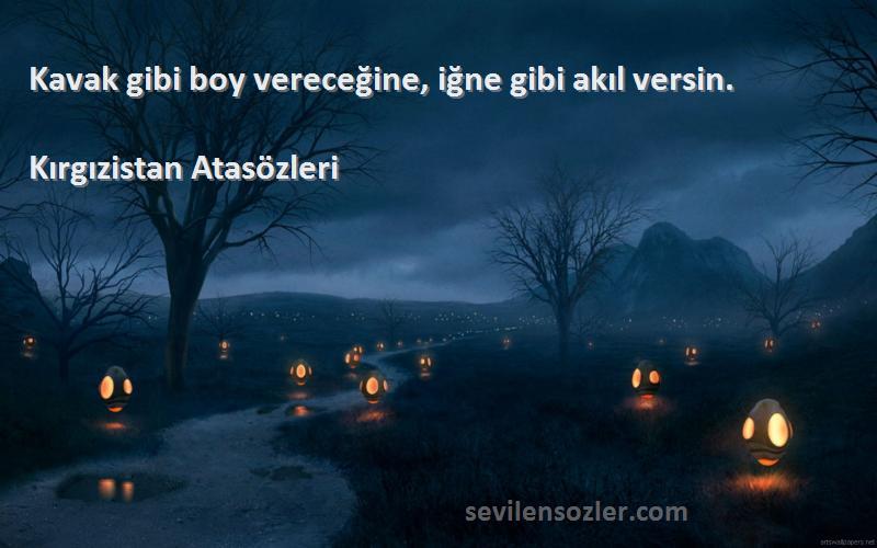 Kırgızistan Atasözleri - Kavak gibi boy vereceğine, iğne gibi akıl versin.