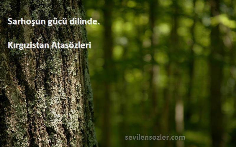 Kırgızistan Atasözleri - Sarhoşun gücü dilinde.