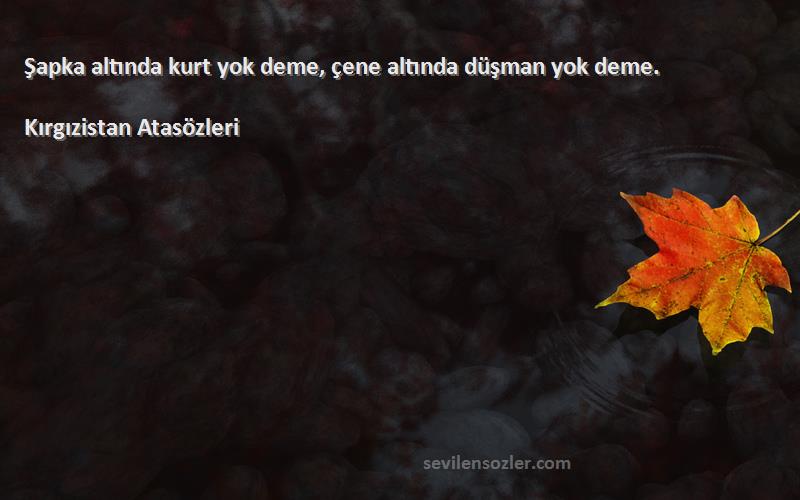 Kırgızistan Atasözleri Sözleri 
Şapka altında kurt yok deme, çene altında düşman yok deme.