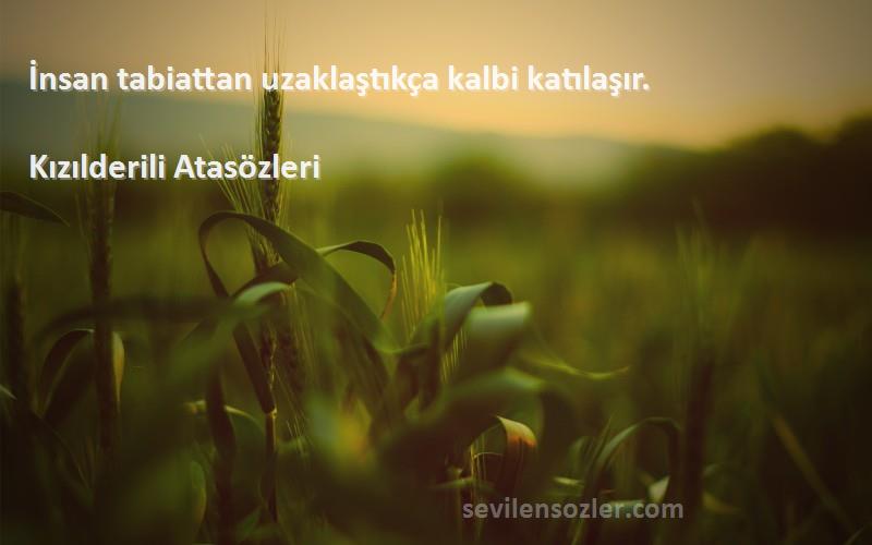 Kızılderili Atasözleri - İnsan tabiattan uzaklaştıkça kalbi katılaşır.