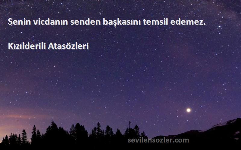 Kızılderili Atasözleri - Senin vicdanın senden başkasını temsil edemez.