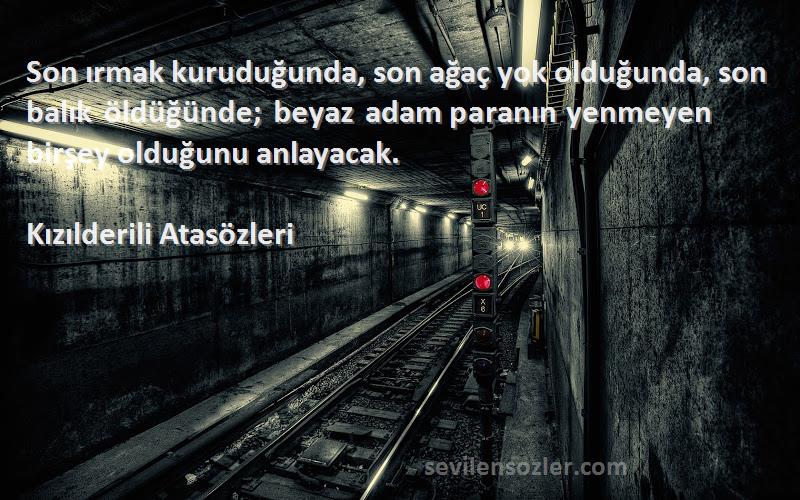 Kızılderili Atasözleri Sözleri 
Son ırmak kuruduğunda, son ağaç yok olduğunda, son balık öldüğünde; beyaz adam paranın yenmeyen birşey olduğunu anlayacak.