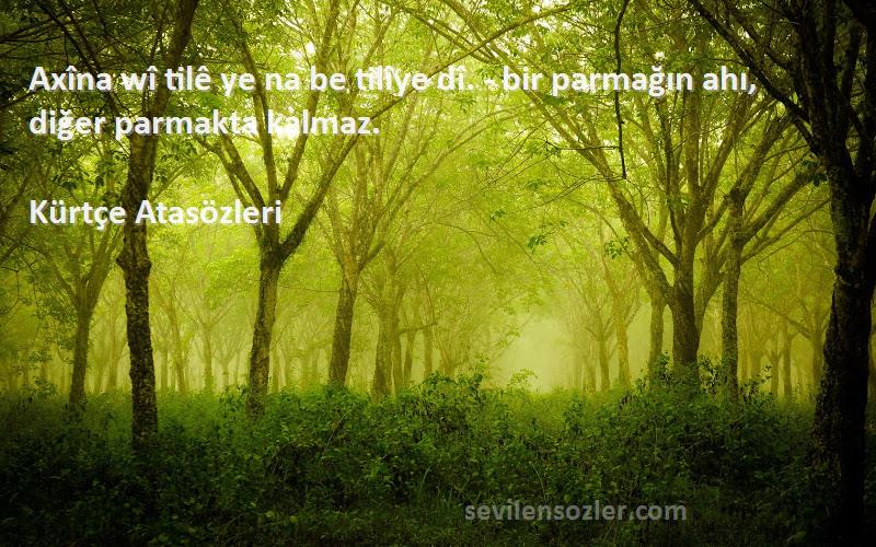 Kürtçe Atasözleri Sözleri 
Axîna wî tilê ye na be tilîye dî. - bir parmağın ahı, diğer parmakta kalmaz.