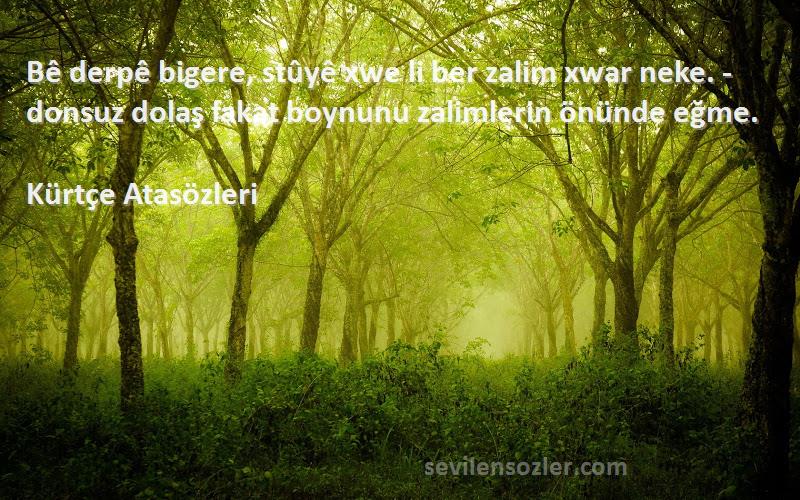 Kürtçe Atasözleri Sözleri 
Bê derpê bigere, stûyê xwe li ber zalim xwar neke. - donsuz dolaş fakat boynunu zalimlerin önünde eğme.