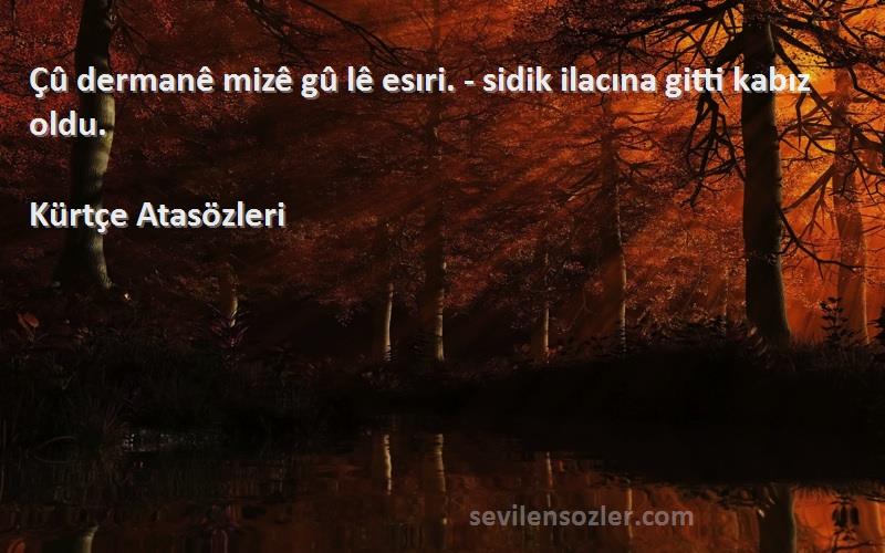 Kürtçe Atasözleri - Çû dermanê mizê gû lê esıri. - sidik ilacına gitti kabız oldu.