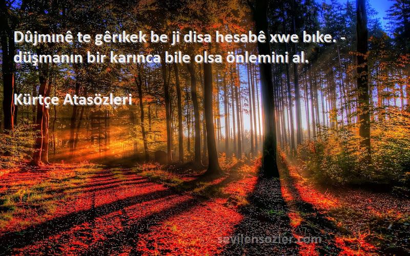 Kürtçe Atasözleri - Dûjmınê te gêrıkek be ji disa hesabê xwe bıke. - düşmanın bir karınca bile olsa önlemini al.