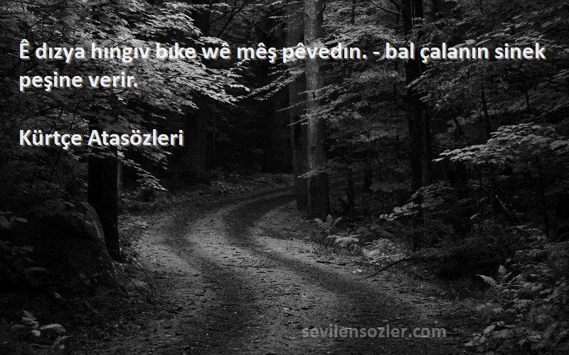 Kürtçe Atasözleri - Ê dızya hıngıv bıke wê mêş pêvedın. - bal çalanın sinek peşine verir.