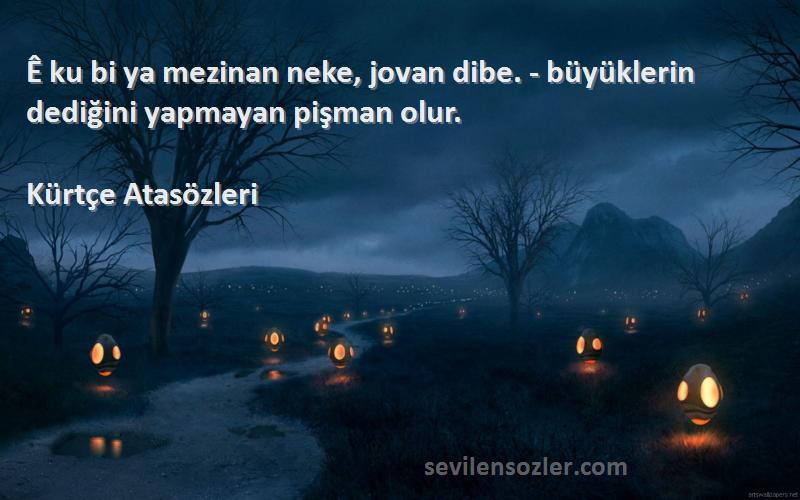 Kürtçe Atasözleri - Ê ku bi ya mezinan neke, jovan dibe. - büyüklerin dediğini yapmayan pişman olur.