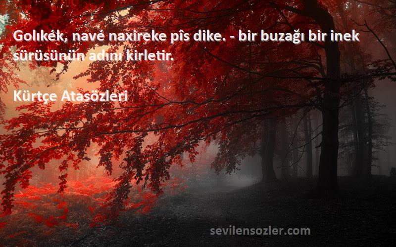 Kürtçe Atasözleri - Golıkék, navé naxireke pîs dike. - bir buzağı bir inek sürüsünün adını kirletir.