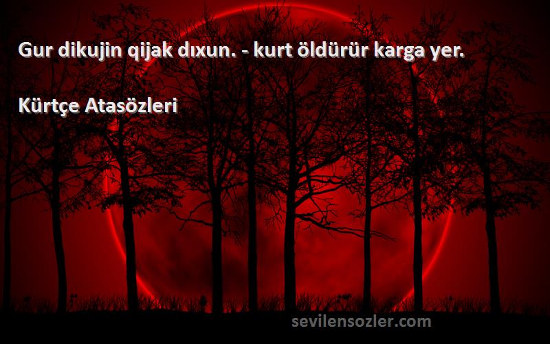 Kürtçe Atasözleri - Gur dikujin qijak dıxun. - kurt öldürür karga yer.