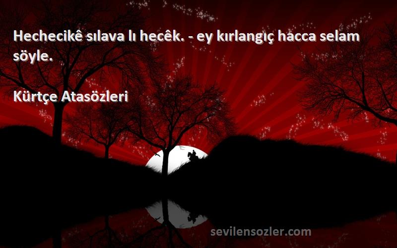 Kürtçe Atasözleri - Hechecikê sılava lı hecêk. - ey kırlangıç hacca selam söyle.