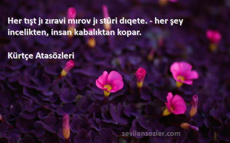 Kürtçe Atasözleri - Her tışt jı zıravi mırov jı stûri dıqete. - her şey incelikten, insan kabalıktan kopar.