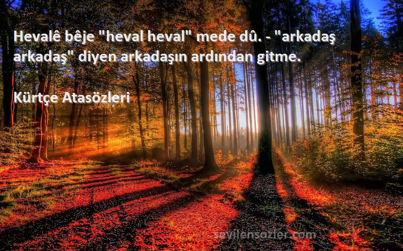 Kürtçe Atasözleri - Hevalê bêje heval heval mede dû. - arkadaş arkadaş diyen arkadaşın ardından gitme.