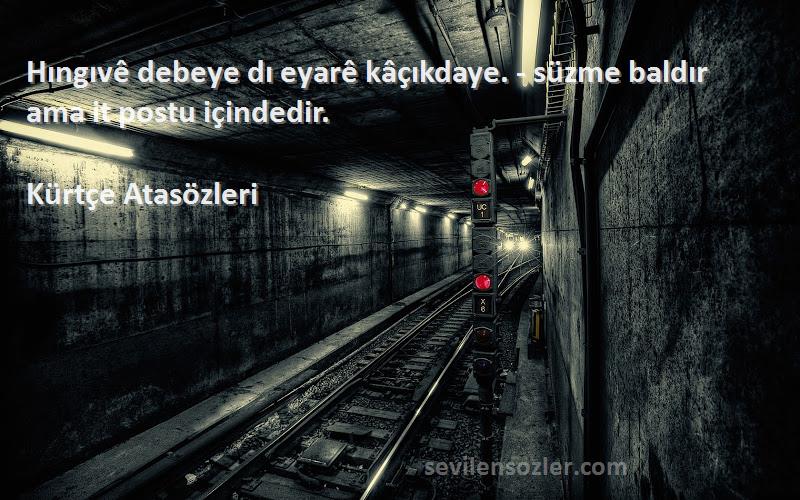 Kürtçe Atasözleri - Hıngıvê debeye dı eyarê kâçıkdaye. - süzme baldır ama it postu içindedir.