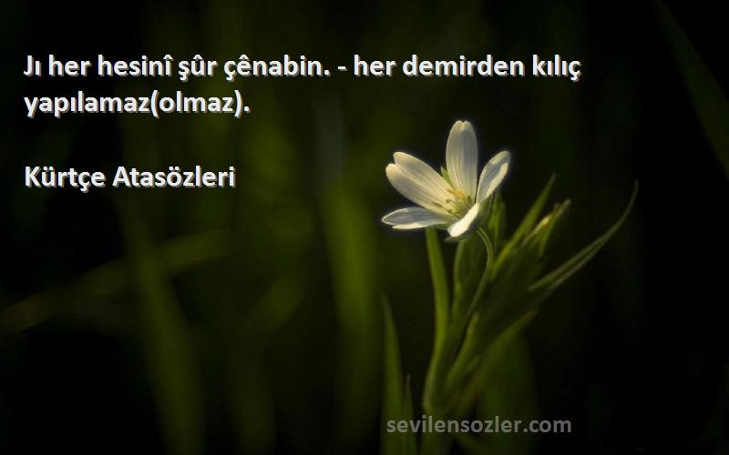 Kürtçe Atasözleri - Jı her hesinî şûr çênabin. - her demirden kılıç yapılamaz(olmaz).