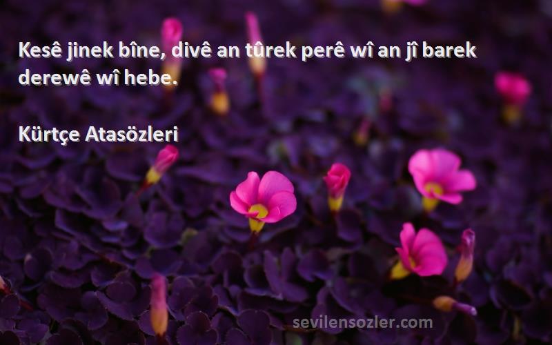 Kürtçe Atasözleri - Kesê jinek bîne, divê an tûrek perê wî an jî barek derewê wî hebe.