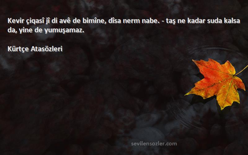 Kürtçe Atasözleri - Kevir çiqasî jî di avê de bimîne, dîsa nerm nabe. - taş ne kadar suda kalsa da, yine de yumuşamaz.