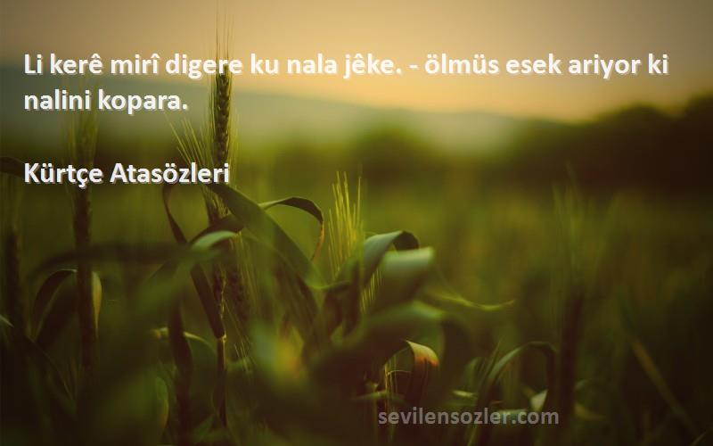 Kürtçe Atasözleri - Li kerê mirî digere ku nala jêke. - ölmüs esek ariyor ki nalini kopara.