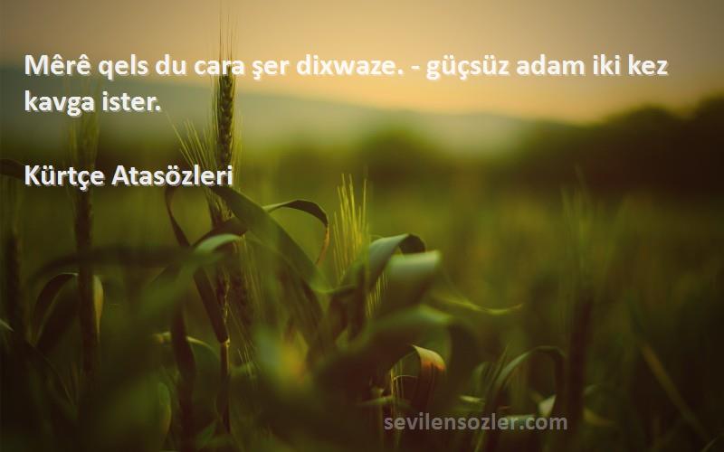 Kürtçe Atasözleri - Mêrê qels du cara şer dixwaze. - güçsüz adam iki kez kavga ister.