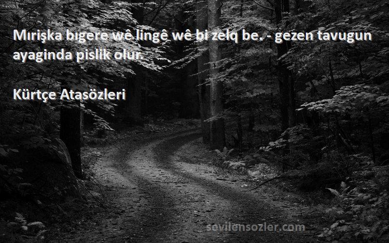 Kürtçe Atasözleri - Mırişka bıgere wê lingê wê bi zelq be. - gezen tavugun ayaginda pislik olur.
