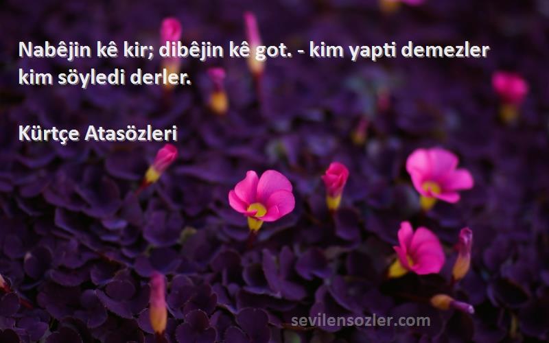 Kürtçe Atasözleri - Nabêjin kê kir; dibêjin kê got. - kim yapti demezler kim söyledi derler.