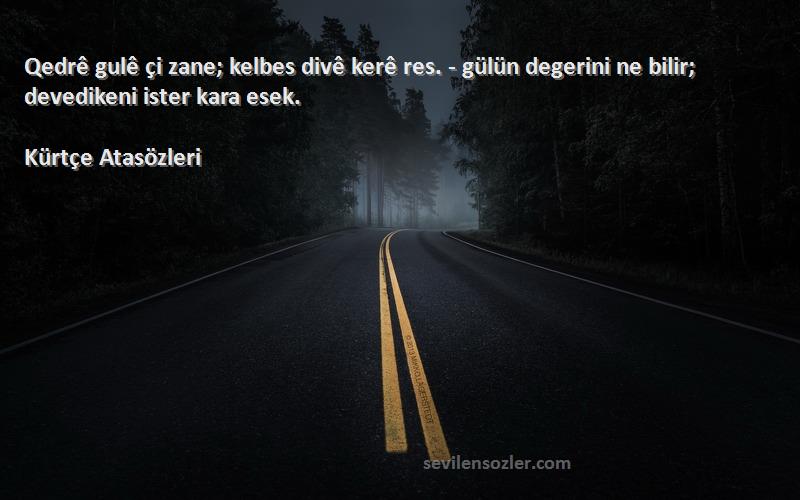 Kürtçe Atasözleri - Qedrê gulê çi zane; kelbes divê kerê res. - gülün degerini ne bilir; devedikeni ister kara esek.