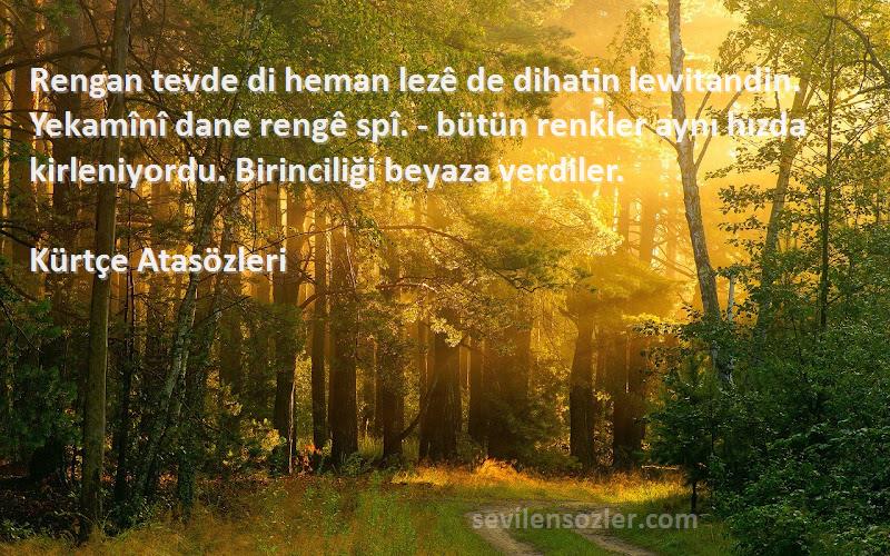 Kürtçe Atasözleri Sözleri 
Rengan tevde di heman lezê de dihatin lewitandin. Yekamînî dane rengê spî. - bütün renkler aynı hızda kirleniyordu. Birinciliği beyaza verdiler.