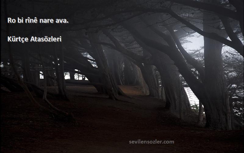 Kürtçe Atasözleri - Ro bi rînê nare ava.