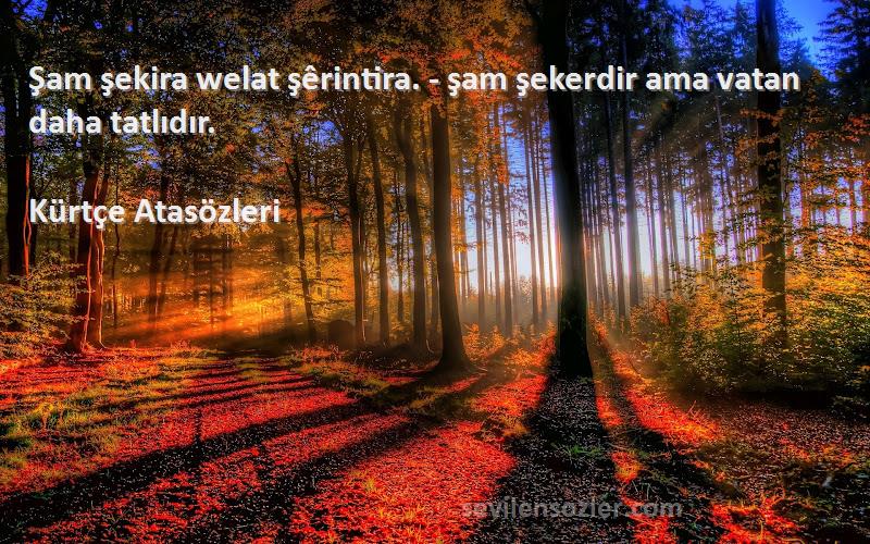 Kürtçe Atasözleri - Şam şekira welat şêrintira. - şam şekerdir ama vatan daha tatlıdır.