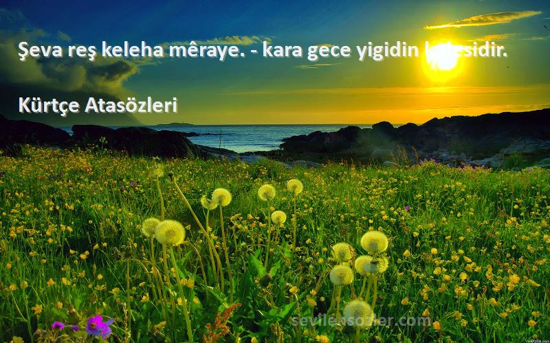 Kürtçe Atasözleri - Şeva reş keleha mêraye. - kara gece yigidin kalesidir.