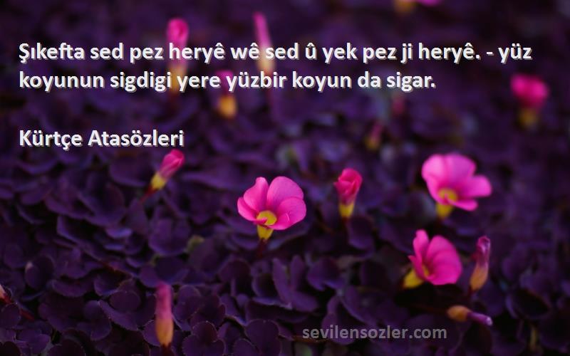 Kürtçe Atasözleri - Şıkefta sed pez heryê wê sed û yek pez ji heryê. - yüz koyunun sigdigi yere yüzbir koyun da sigar.