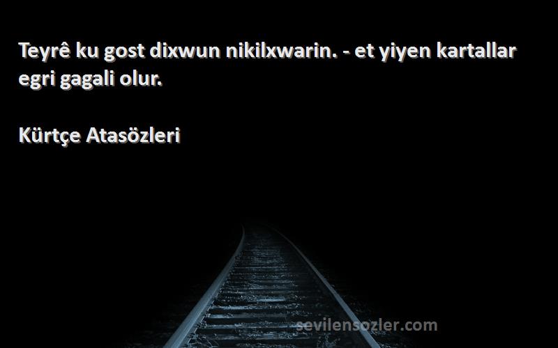Kürtçe Atasözleri - Teyrê ku gost dixwun nikilxwarin. - et yiyen kartallar egri gagali olur.