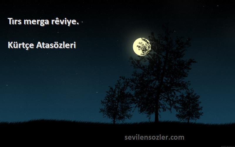 Kürtçe Atasözleri - Tırs merga rêviye.