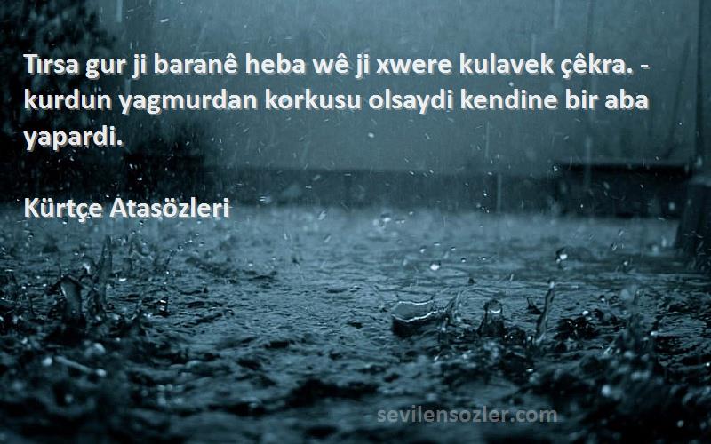 Kürtçe Atasözleri Sözleri 
Tırsa gur ji baranê heba wê ji xwere kulavek çêkra. - kurdun yagmurdan korkusu olsaydi kendine bir aba yapardi.